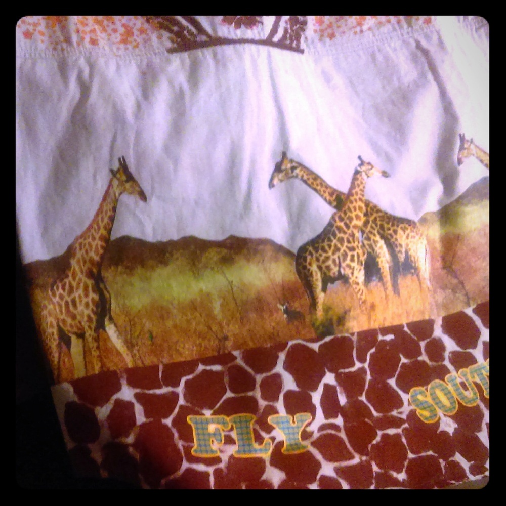 FLY SOUTH(FSIO) Safari Top
